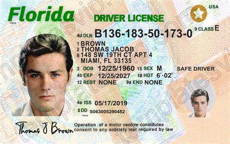 Florida drivers license template